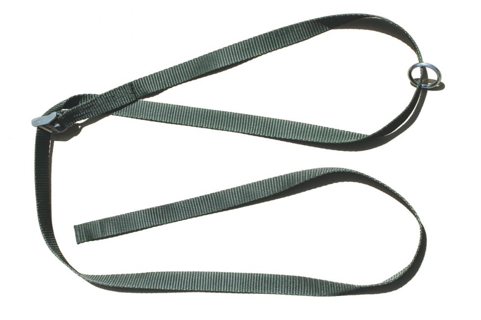 Ein grünes Gurtband mit einer Schnallewelche das Band zu einer Schlaufe schlisst und in seinem Zentrum an sich selber bindet, loses Ende unten rechts zu einer Schleife Gelegt, Schlaufe oben rechts, in